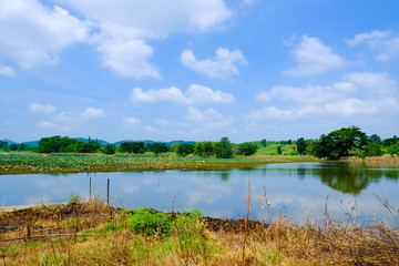 big lake with green field and blue sky