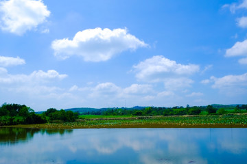 Obraz na płótnie Canvas big lake with green field and blue sky