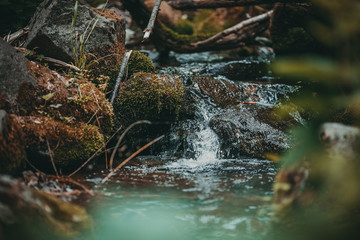 Beautiful landscape. A crystal clear mountain stream flows down stones among green moss and grass. Pure water.