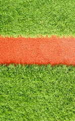 green grass field zoom in focused
