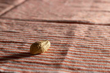 peanuts on a tea towel under rays of the sun