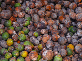 Various betel nuts, stacked together.