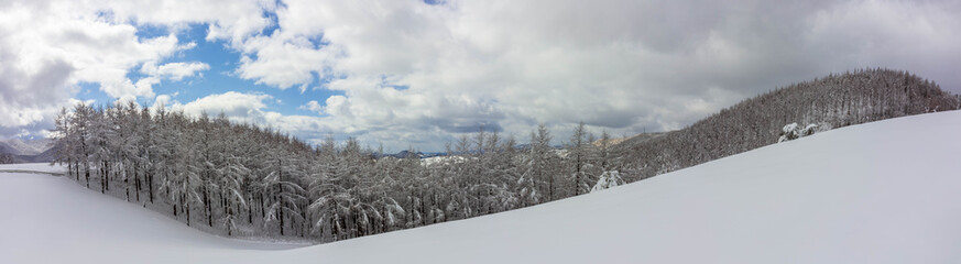 Fototapeta premium 겨울