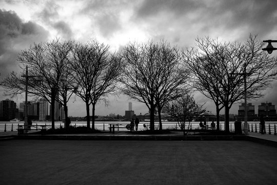 black and white city and park photo