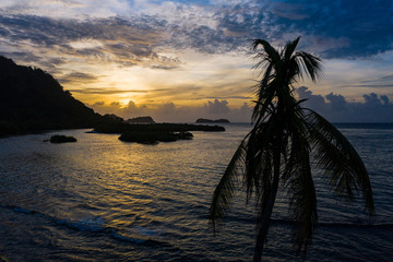 A shadow palm tree at sunset off the coast of Panama.