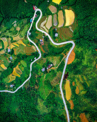 A winding road up a mountain among many rice terraces in Vietnam.