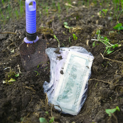 Burying cash in garden