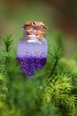 magic elixir.Witch's potion. Glass bubble with purple glitter liquid and fern twig in green moss on blurred  background.Alchemy