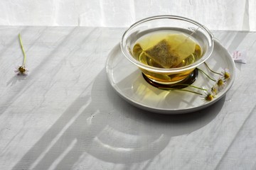 cup of tea/ Cup of chamomile tea 