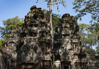 Fototapeta premium Ta Prohm temple in Angkor Wat, Cambodia