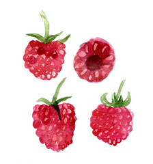 Watercolor set of raspberry. Hand drawn illustration isolated on white background. Bright collection of red berries.
