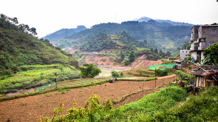 Rice terraces situated along the slopes of northern Vietnam.
