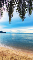 seascape, sandy beach, palm trees, sky with clouds