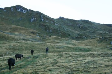Walker's Haute Route, Switzerland, 2019