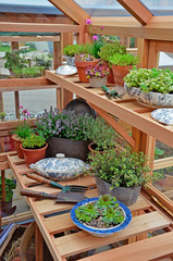 Interior of a garden potting shed with herbs, tools and containers