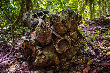 An ancient old engine found in the jungle.