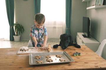 Young child baking in the kitchen and feed his dog from table. What to do during quarantin. Stay home Self-isolation.
