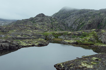 Moody grey arctic landscape with slope of granite smooth rocks with lush green moss around quiet lake in haze in overcast weather, north landscape.