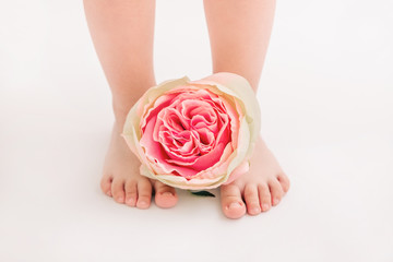 Legs of lovely little girl with flowers.White background