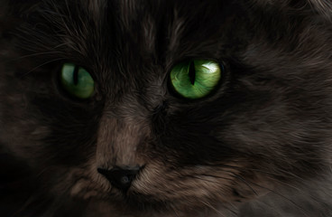 
black and fluffy cat with green eyes close up