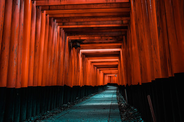 Fototapeta premium 京都 伏見稲荷大社 鳥居