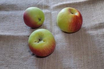 assorted fruits on fabric background assorted top view side	