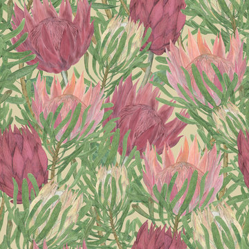 Watercolor painting seamless pattern with protea flowers