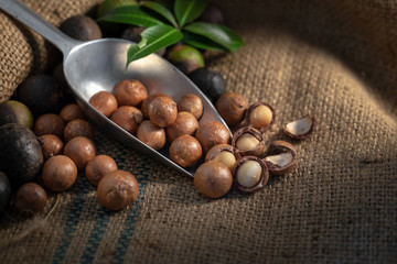 Macadamia nuts on sackcloth in dark light
