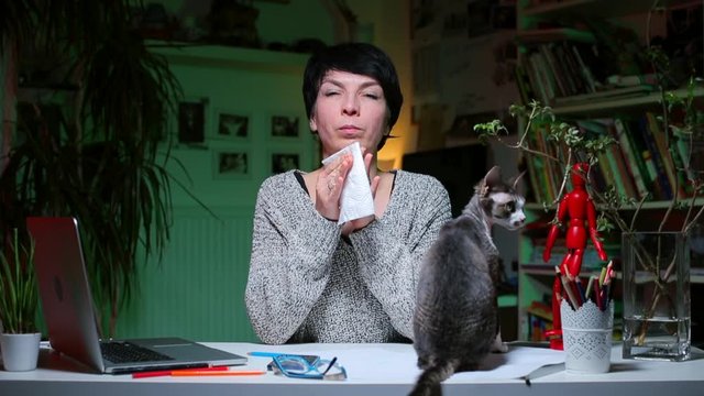 A woman is sitting at an office desk sneezing from the fur of a cat. Allergic reaction. The hypersensitivity of the body's immune system. Home office during coronavirus infection COVID-19.