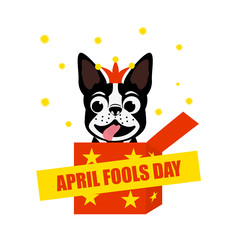 April fools day. Funny dog jumps from the box. French bulldog in Jack hat.Vector illustration.