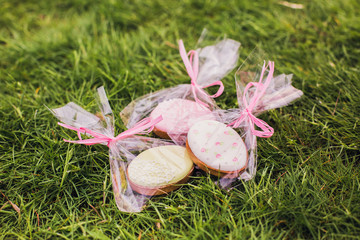 Easter gingerbread cookies individually wrapped on grass.