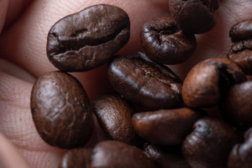 roasted coffee beans and hand in selective macro focus.