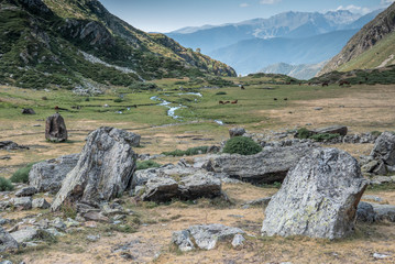 Paisaje de alta montaña con prado alpino y rocas de los pirineos del parque natural del alt...