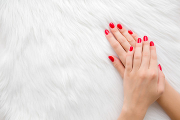 Beautiful groomed woman hands with red nails on light white furry background. Manicure, pedicure beauty salon concept. Empty place for text or logo. Closeup. Top down view.