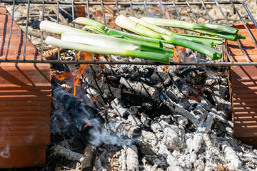 Obraz premium Roasted vegetables, outdoors barbecue cooking of fresh green onions.