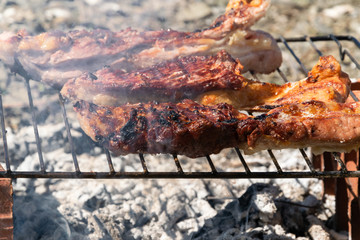 Roasted beef meat, outdoors barbecue cooking, protein grilled meal