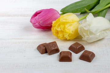 White, yellow and purple tulips lie in a row next to pieces of chocolate
