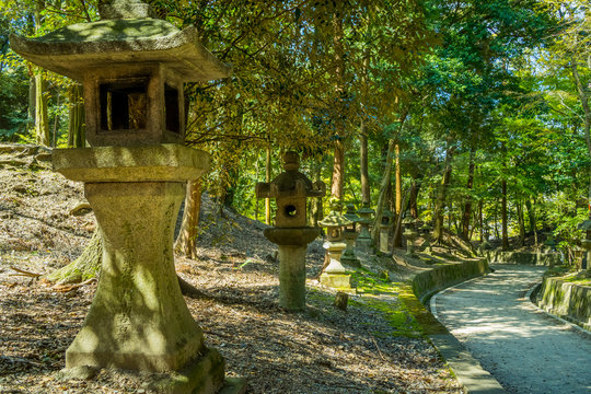 日本の原風景 石灯篭が並ぶ道 京都