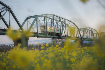 菜の花畑とローカル線
