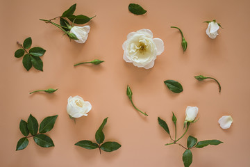 Summer background. Flowers background. Top view of white roses and rosebuds on beige background.