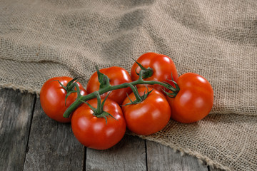 Saftige Rispentomaten / Rote Tomaten (lat.: Solanum lycopersicum)