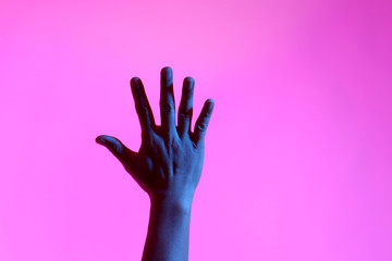 Vivid