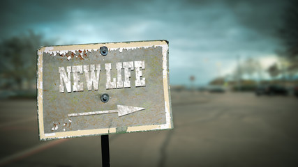 Street Sign NEW LIFE