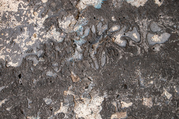 Concrete wall with an old coating for the background. Color Fuscous Gray, Monsoon, White Linen. Swelling, cracks, flow.