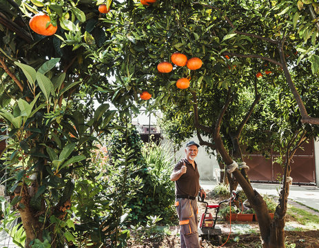 Pensionato  si coltiva l'orto in casa lavora con una motozappa rossa