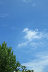 Obraz premium 夏の雲