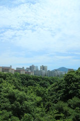 団地の夏空