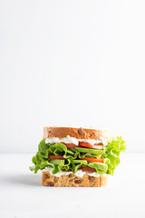 Vegetarian sandwich with avocado and lettuce. Copy space and place for text. Health concept.