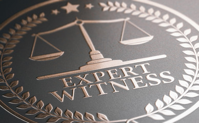 Legal Expertise. Expert Witness Service - obrazy, fototapety, plakaty