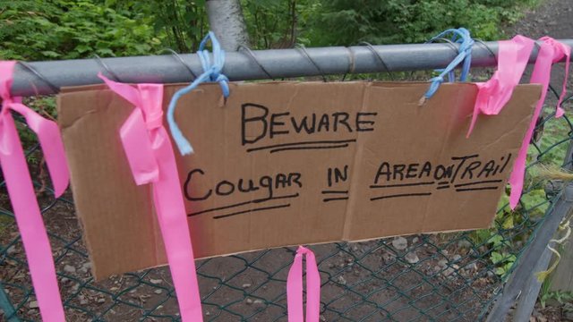 Tracking shot of sign warning there may be cougars in the are, Beware